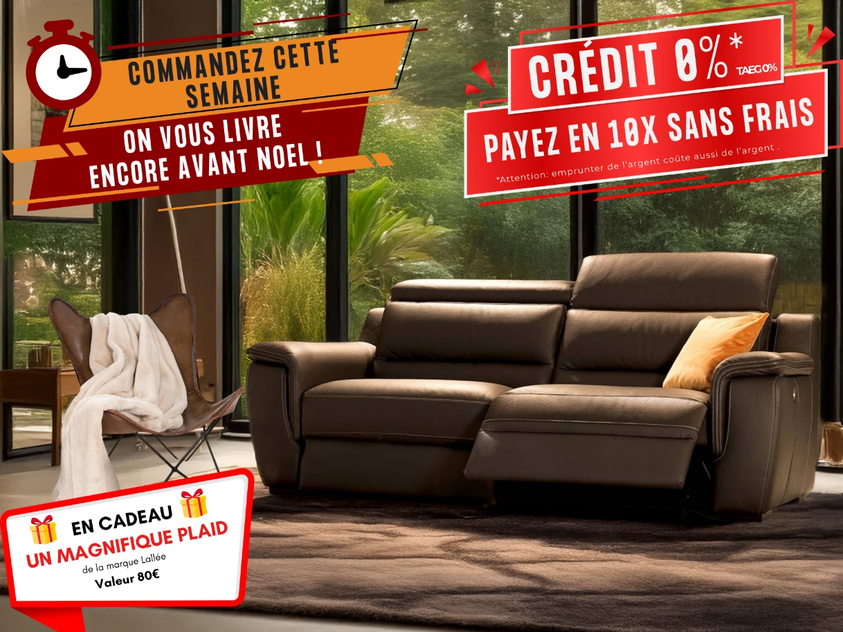 Canapé cuir brun haut de gamme