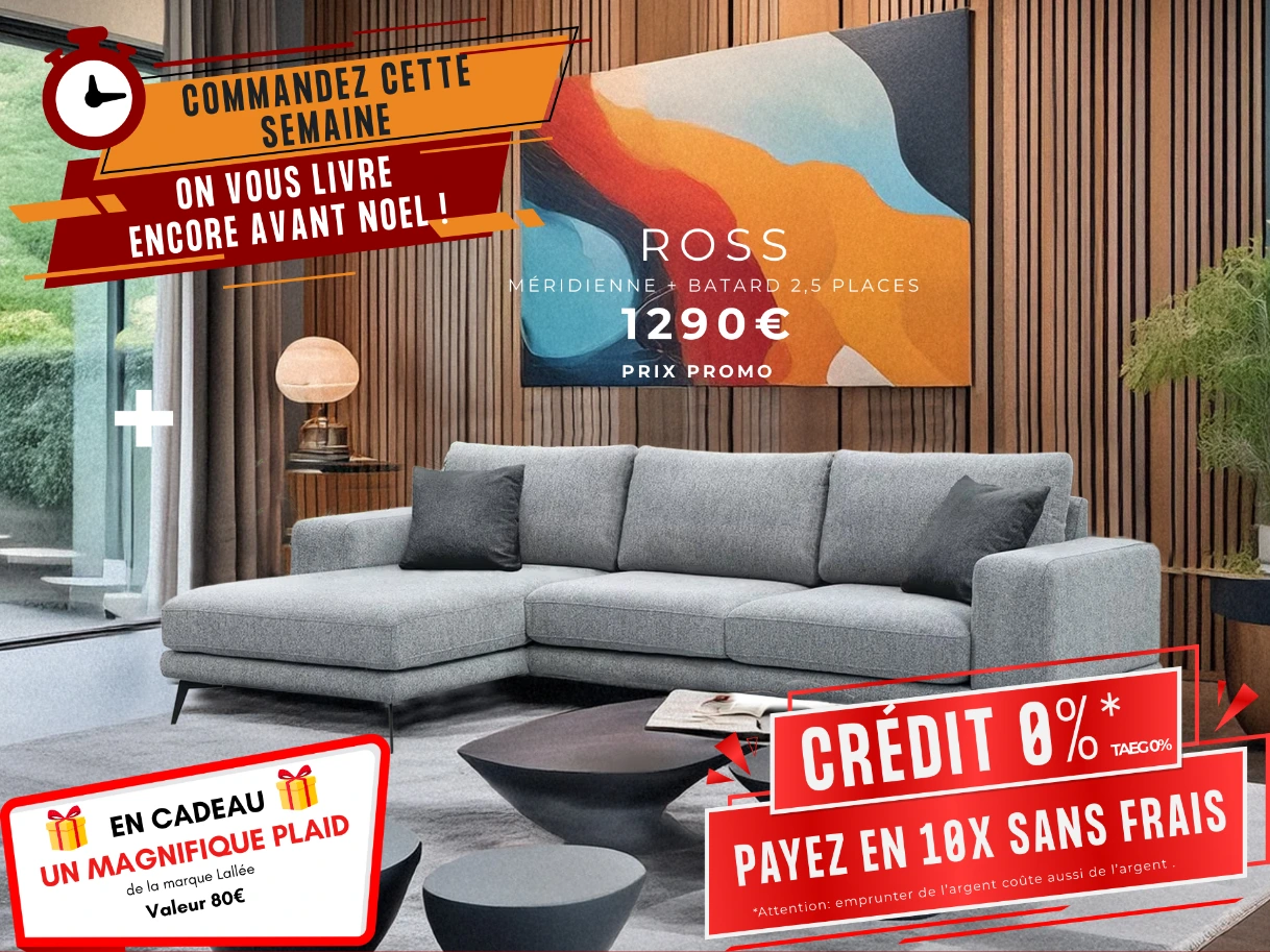 Canapé méridienne en promo
